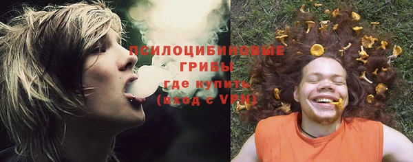 spice Зеленодольск