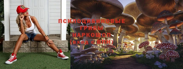 ALPHA-PVP Зеленокумск